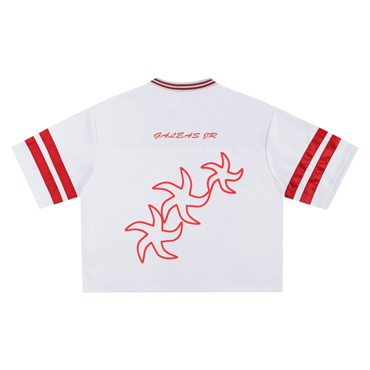 (728) *Red* Taped Mesh Boxy Jersey  T-shirt